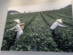 -奈雪的茶(优特汇店)
