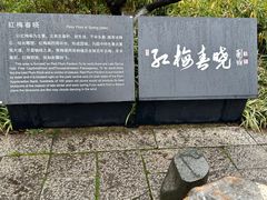 -红梅公园