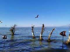 -捞渔河湿地公园