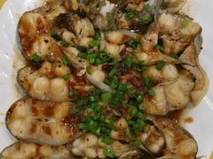 豉汁蒸金钱片西江钳鱼-粤·向群饭店(泮塘路店)