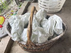 -马陆小张葡萄园农家乐