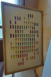 -彩虹之门健康管理