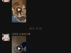 -谐和贝康宠物医院24小时·宠保定点(急重症转诊中心)