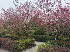 -汤山一号温泉度假区