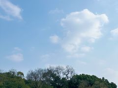 -上海方塔园