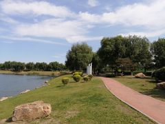 -丁香湖公园