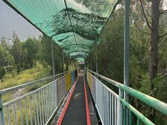-十渡高山漂流