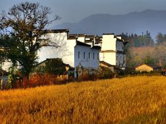 -塔川景区