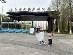 -黄海国家森林公园