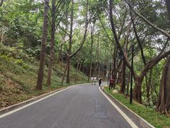 -广州雕塑公园
