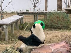 -苏州太湖国家湿地公园