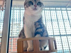 -中农大我爱我爱动物医院·核磁CT·猫病·24小时夜诊中心(石佛营店)