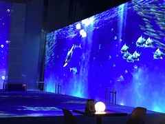 -上海环球金融中心云端足球盛典