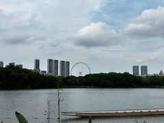 -顺峰山公园