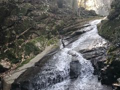 -藏龙百瀑风景区