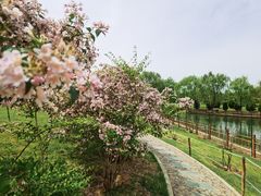 -燕郊植物园