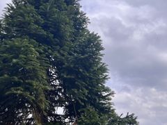 -重庆云阳龙缸景区