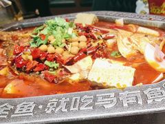 -马有鱼·馕坑烤全鱼(美美2店)