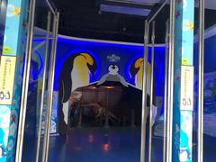 -重庆欢乐海底世界