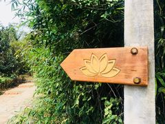 -三圣花乡旅游区