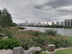 -南宁南湖公园