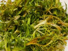 凉拌苦苣-来顺成饭庄