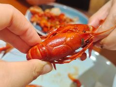 -美盛喜来登大酒店-盛宴标帜餐厅