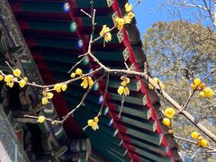 -北京艺术博物馆(万寿寺)