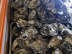 -土蚝·高压锅生蚝(百姓美食街店)