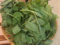 -牧牛佬·山菌·汤锅馆
