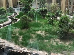 -北京德尔康尼骨科医院