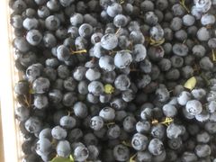 -东方鼎信农副产品交易中心