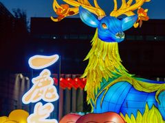-武汉园博园(武汉自然博物馆)