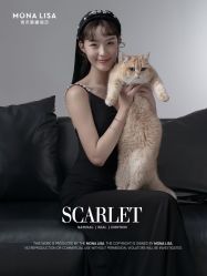 -青禾蒙娜丽莎婚纱摄影(武汉总店)