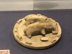 -温州博物馆