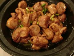 -金种子大酒店