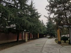 -法门文化景区
