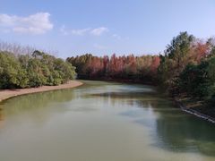 -上海海湾国家森林公园