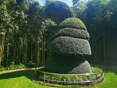 -苏州河梦清园环保主题公园