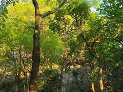 -桂林独秀峰王城景区