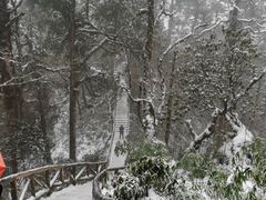 -龙苍沟森林公园