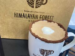 -喜马拉雅森HIMALAYAN FOREST