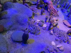 -浙江自然博物院(杭州馆)