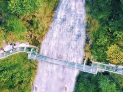 -九龙江国家森林公园