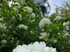 -南通博物苑-崇川人民公园