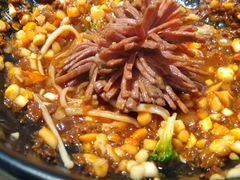 -钢管厂五区小郡肝火锅串串香(总店)
