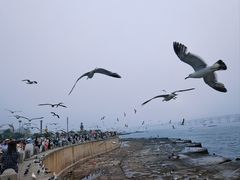 -星海广场
