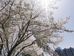 -诺贝尔湖公园