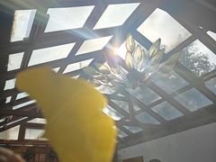 -少林寺欢喜地素斋馆