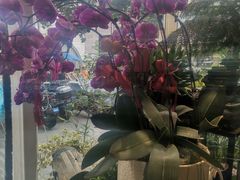 -FEI FEI FLOWER鲜花店·气球派对·宝宝宴布置(虹口德必运动Loft店)